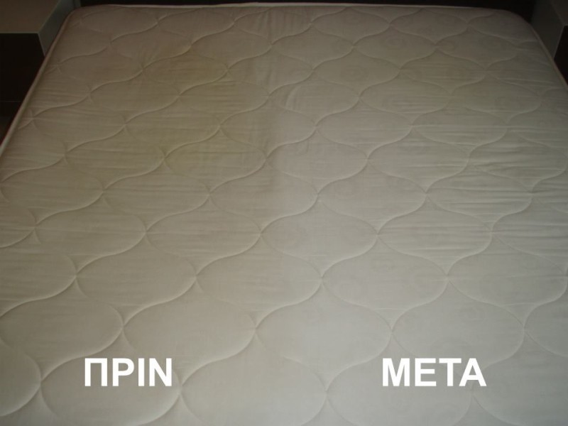 botanicbioclean sofa - chairs - bed  
